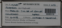 Image Associated With the Occurence